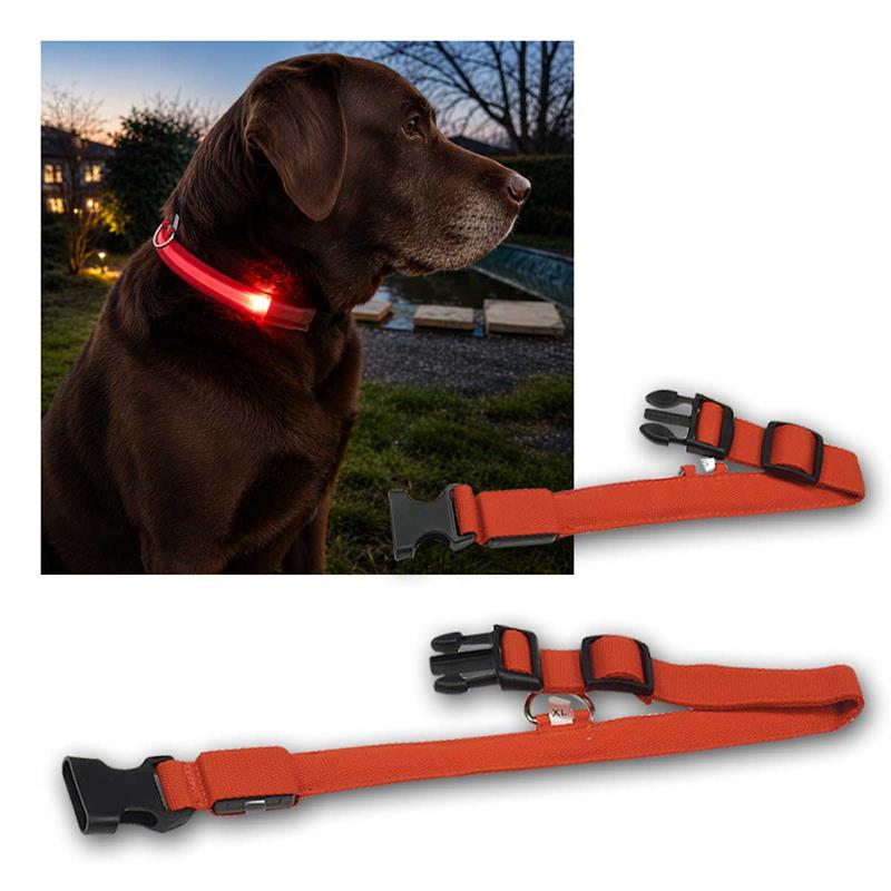 LED Sicherheits-Hundehalsband, 3 Leuchtmodi, rot, wetterfest