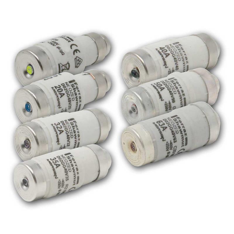 NEOZED Sicherungseinsätze, 10er Pack Keramiksicherung, D02